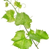 �֥ɥ��ե�����