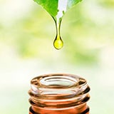 ŷ������