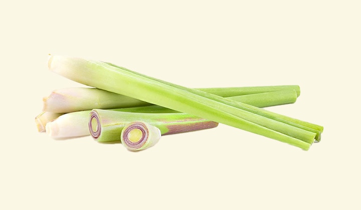 ������������󥰥饹 ���᡼����