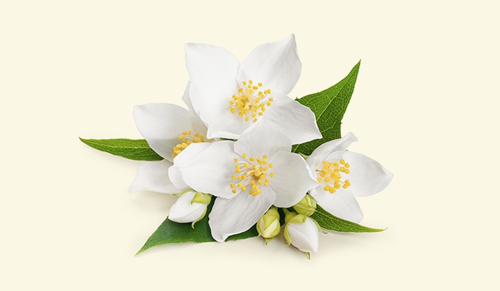 ���¿�����㥹�ߥ� ���᡼����