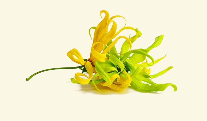 긺��������󥤥�� ���᡼����