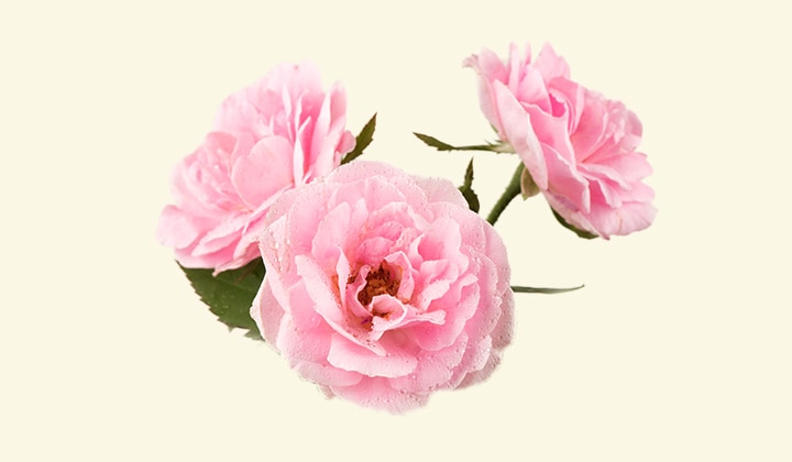 �����¿�����ޥ��������� ���᡼����