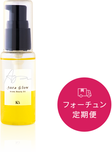 �����饰���� ���᡼����