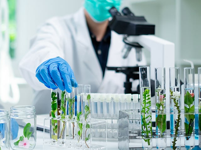 ������ΤȤζ�Ʊ��ȯ�ǹ��ʼ�������ư��¸� ���᡼����