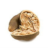 �Х��Хּ����