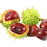 �����襦�ȥ��Υ���ҥ�����