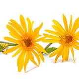 ����˥��֥�����