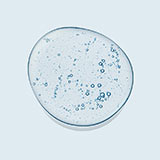 �ҥ�������Na