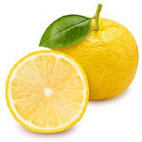 �楺�̼¥�����