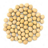 ��������ҥ�����