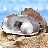 �ÿ�ʬ�򥳥󥭥����