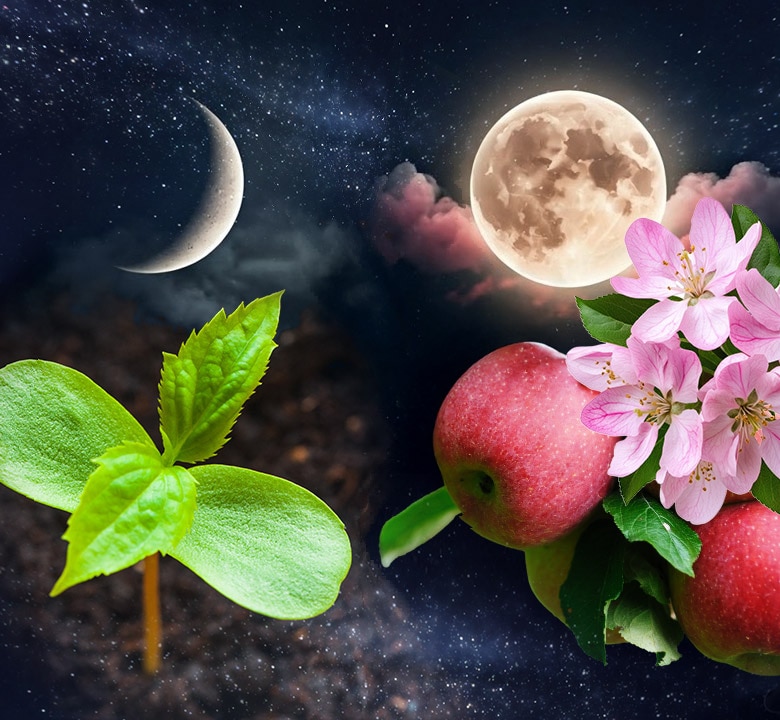 �������Υ�������ȥ��󥯥����뤳�Ȥ������ν۴Ĥ����� ���᡼����