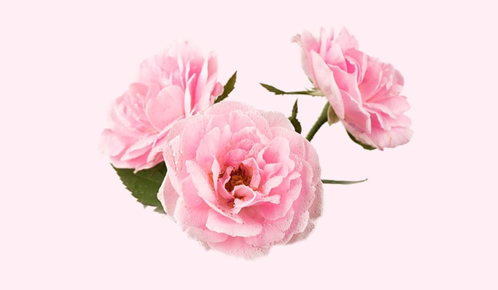 ������������ޥ��������� ���᡼����