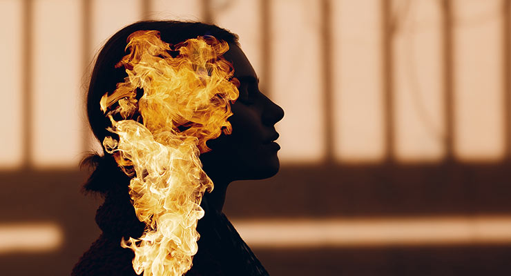 ֥ե󡦥ѡפǿ˲Ф̤ڤ ᡼