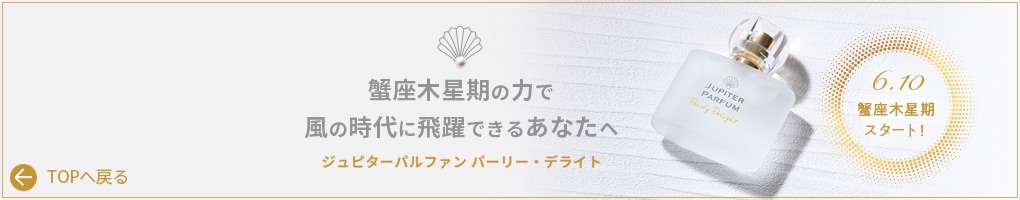 ����ԥ����ѥ�ե��� �ѡ��꡼���ǥ饤��