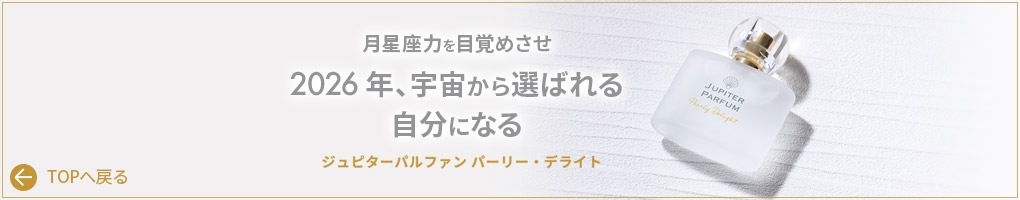 ����ԥ����ѥ�ե��� �ѡ��꡼���ǥ饤��