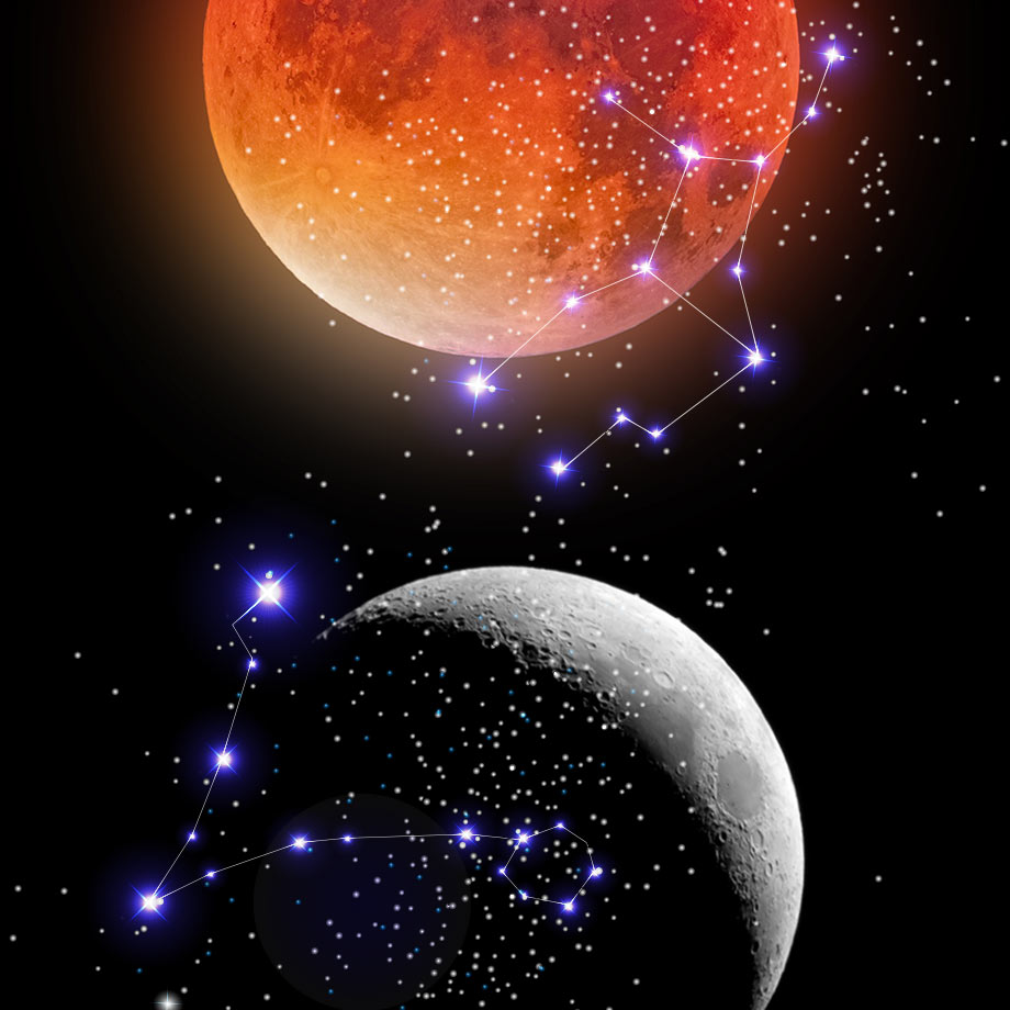 2026ǯ3������Ϥλ��夫��ȴ���Ф��Ǹ�Υ���� ���᡼����