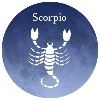 긺¿��� ���᡼����