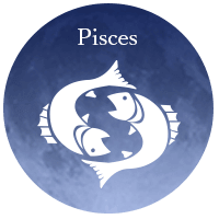 ���¿��� ���᡼����