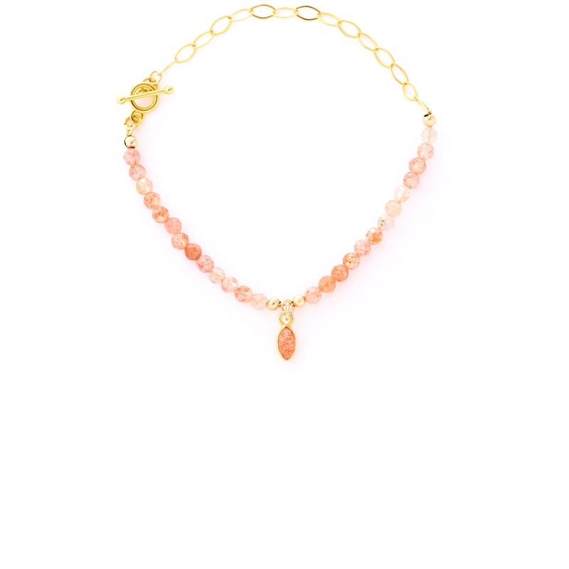 ���踵ö���奨�꡼2026���֥쥹��å�