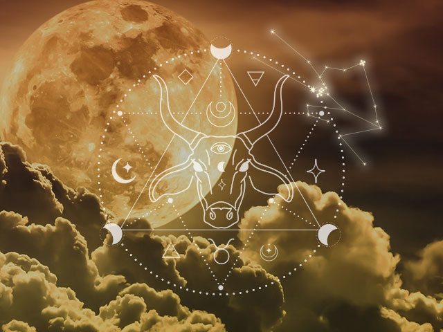 ������̿�κǸ����벴�������������������ľ������� ���᡼����