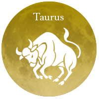 2025ǯ11��5�� ���������� ���᡼����