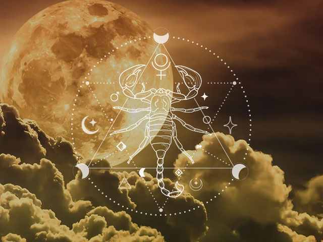 긺�������߰ռ������Ƥ򵯤���̲���Ϥ򷡤굯���� ���᡼����