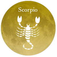 2026ǯ5��2�� 긺����� ���᡼����