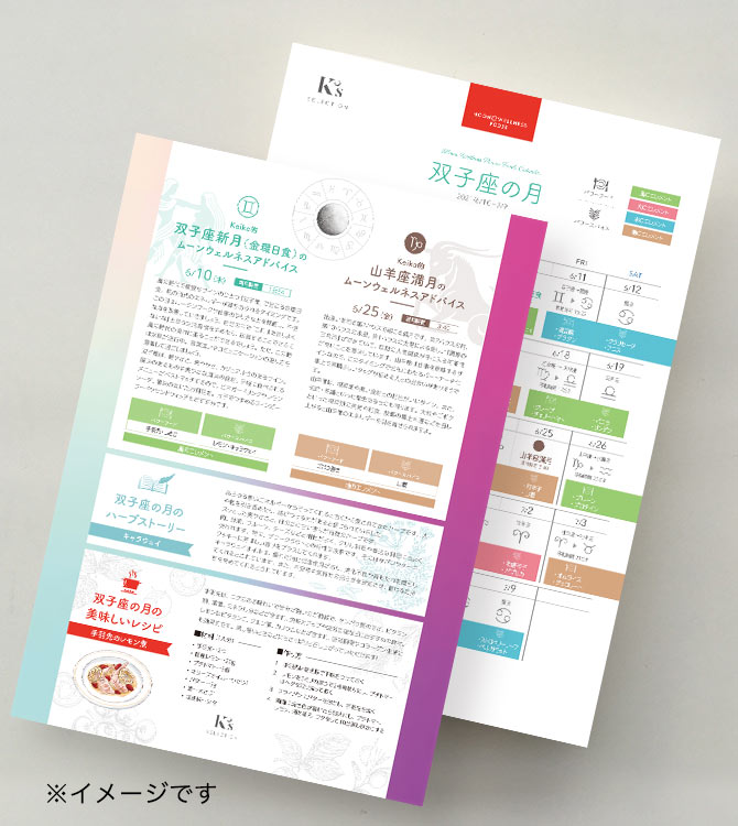 Moon Wellness Power Foods  ᡼