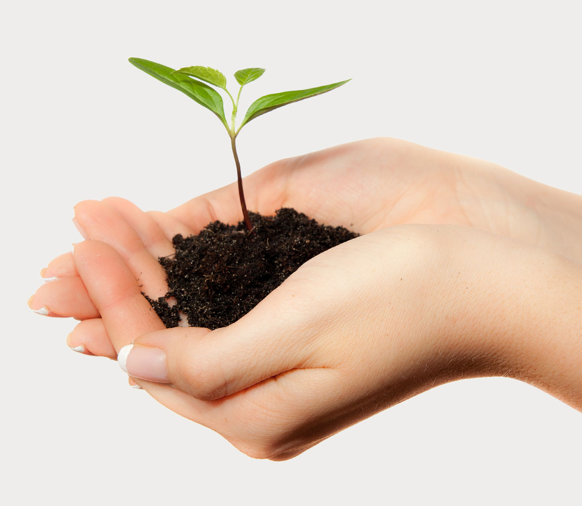 �϶�42ǯ������᡼�����Ȥζ�Ʊ��ȯ ���᡼����