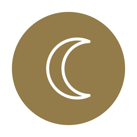 ���������塼����� �� ���᡼����