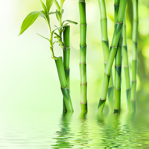 竹のミネラル水 イメージ図