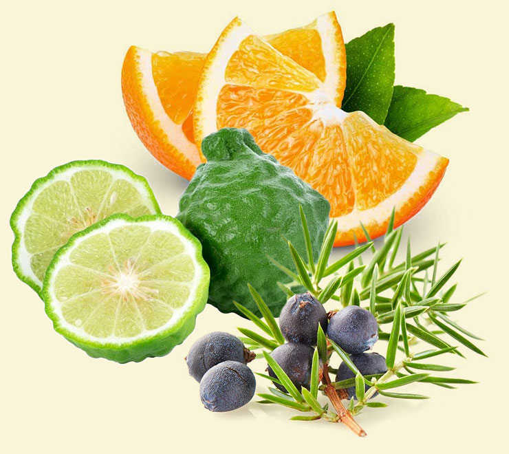 Һ¡Happy Surpriseʥϥåԡץ饤ˡ ᡼