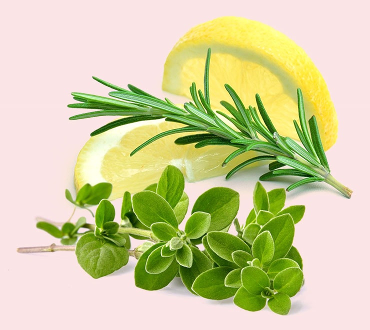 Ӻ¡Lockonʥåˡ ᡼