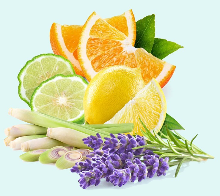 ¡RebalanceʥХ󥹡ˡ ᡼