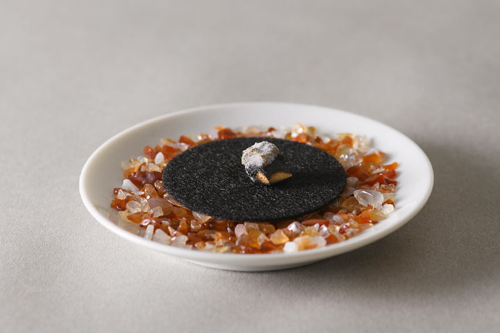 �����˲Ф��ä������Ȥ��ǧ�������Τޤ���ī�ޤ��֤��Ƥ����� ���᡼����