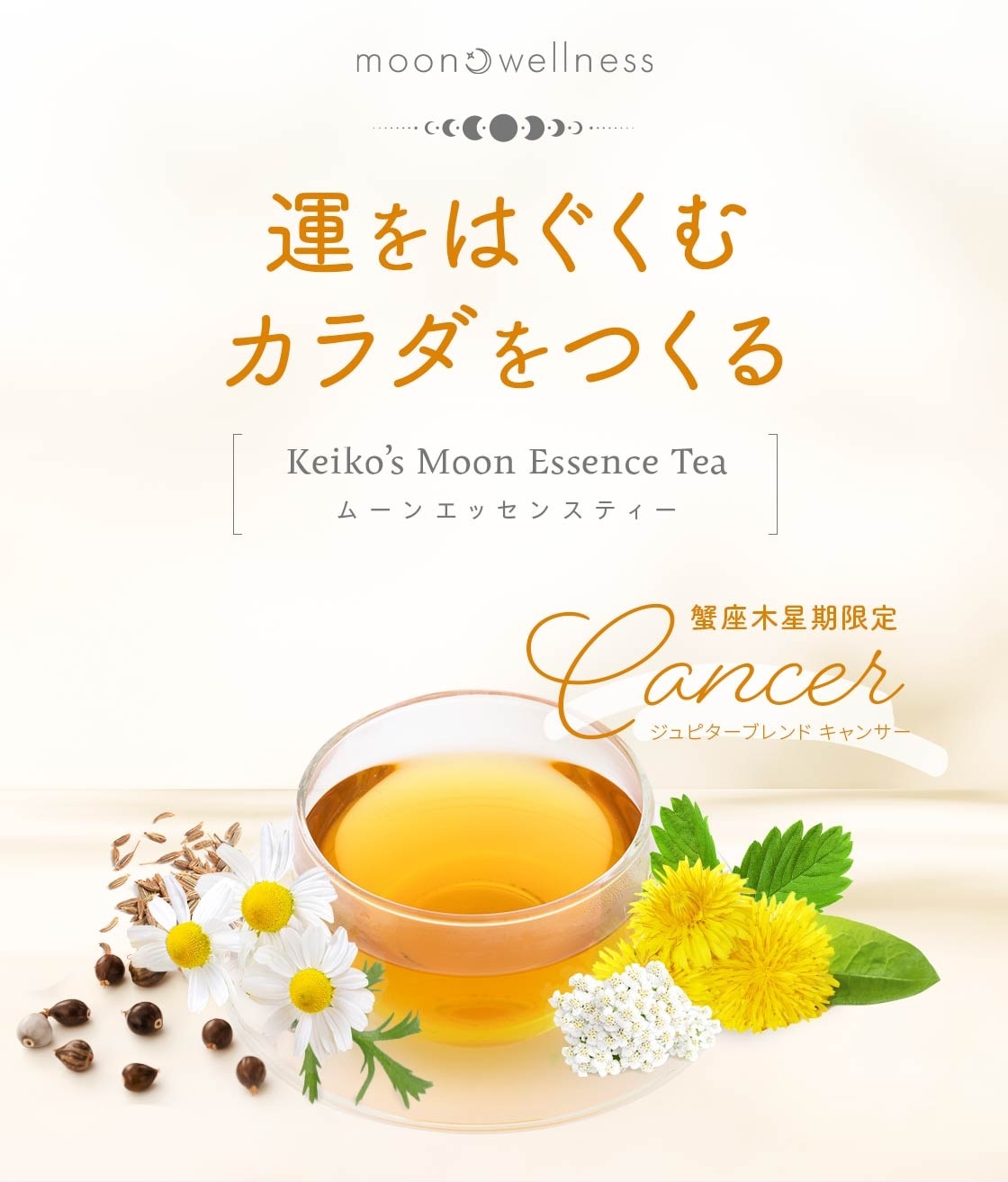 ムーンエッセンスティー｜K's Selection