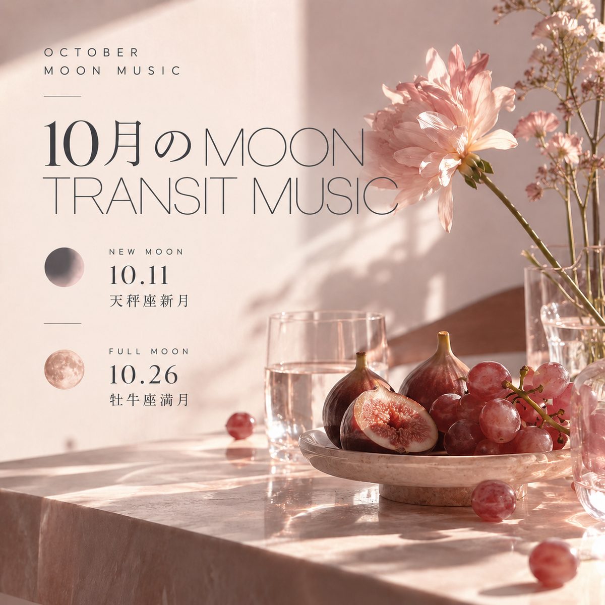 10���MOON MUSIC���֤Ȳ̼¤���ʪ��ȿ����������ա�