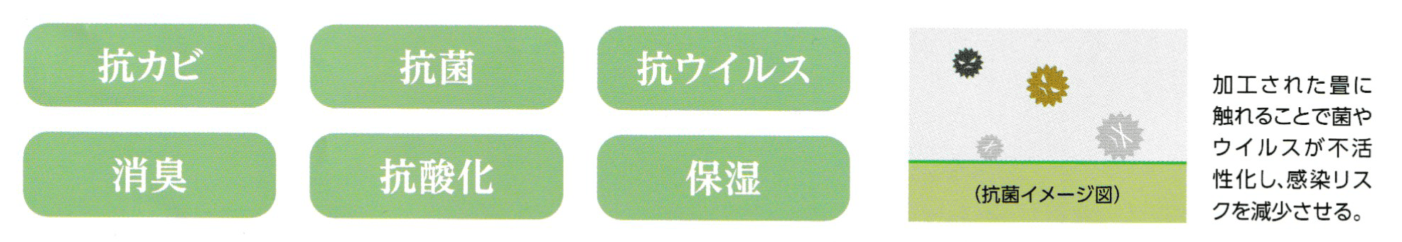 有機酸オリゴマーのすぐれた効果