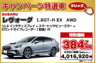 2026ǯ���ץ�󥰥����ڡ��������֥��������