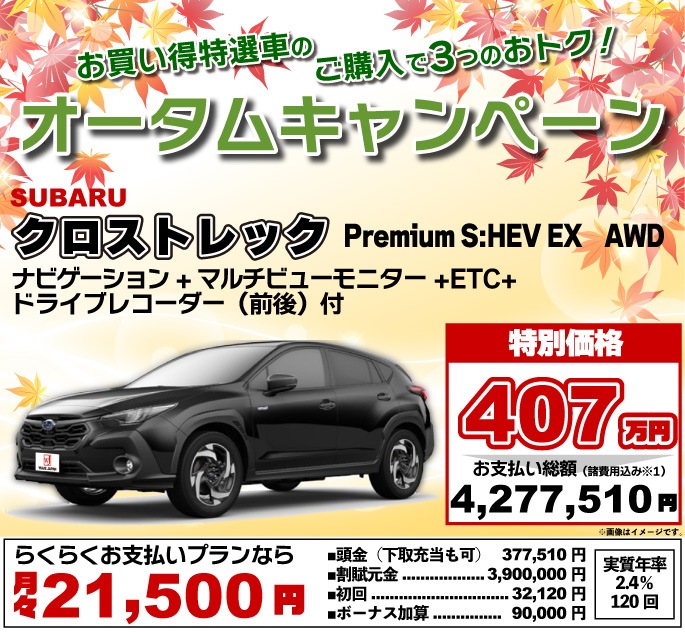 ���ޡ������ڡ����㤤�������֡����Х롡�������ȥ�å���Premium S:HEV EX��AWD