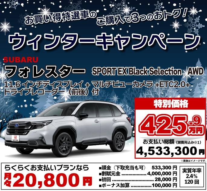 ७ڡ㤤֡Х롡ե쥹SPORT EX Black SelectionAWD