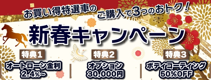 �����ڡ���