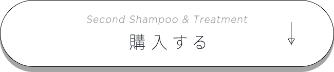 Second Shampoo & Treatment 