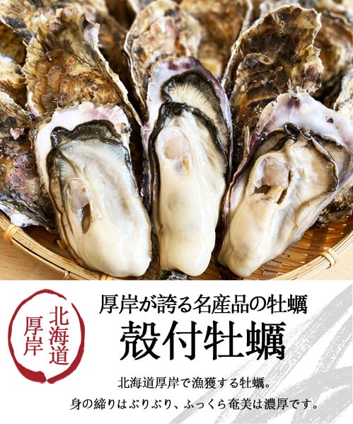 北海道厚岸・殻付き牡蠣