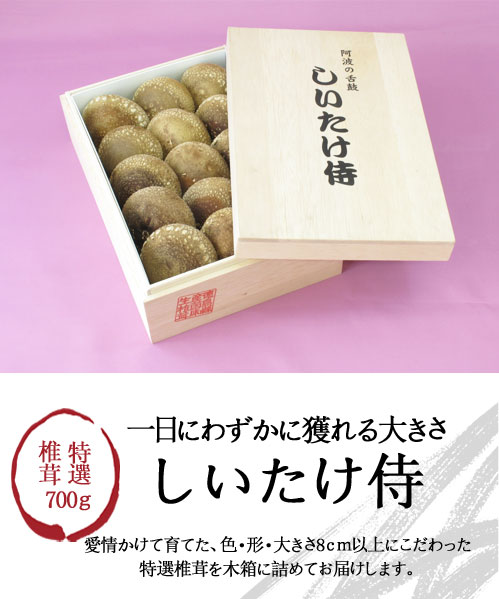 徳島県産特選椎茸・しいたけ侍（700g）