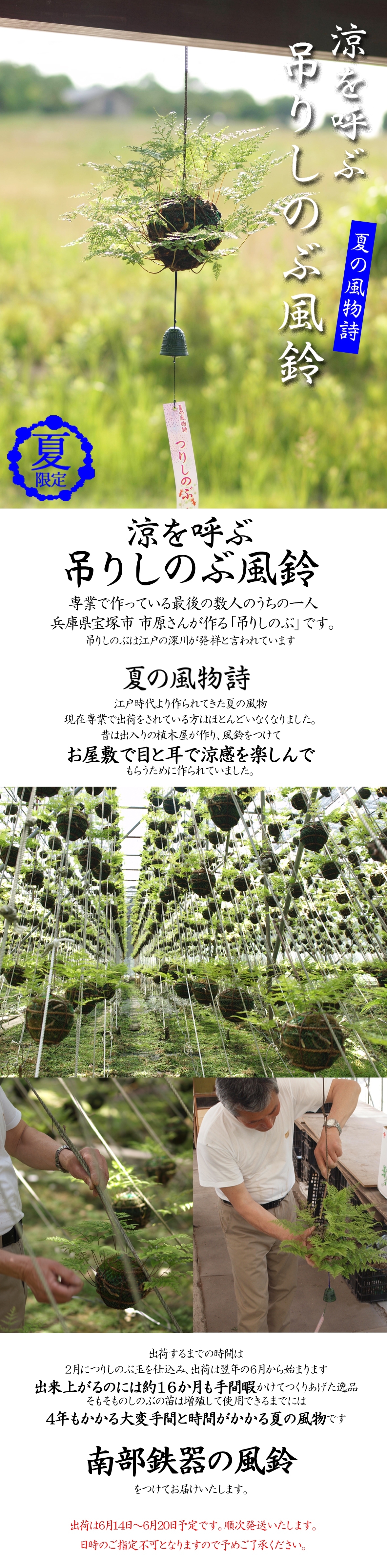 夏の限定発売 涼しさを呼ぶ 吊りしのぶ風鈴 １玉 送料込 最終〆切6 8 Lp おすすめ 吊りしのぶ風鈴 技わざ