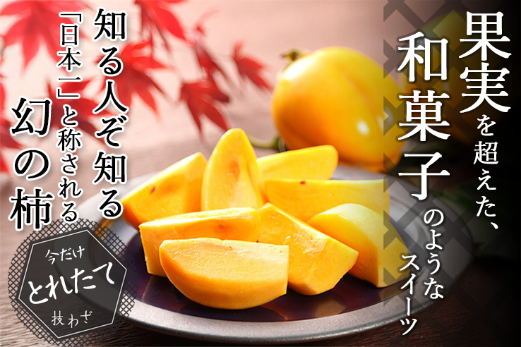 本日新入荷　超希少大粒秀品　高級採れたて　新鮮生ブルーベリー　1点限定 楽天市場】サンシャイレッド(甲斐ベリー7 )山梨県産 1房 約500g