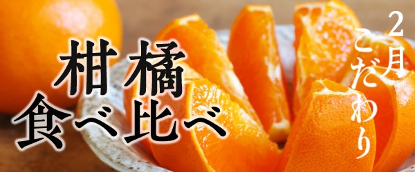 柑橘食べ比べ