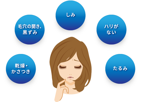 正規通販 プルーファ エラスリフト